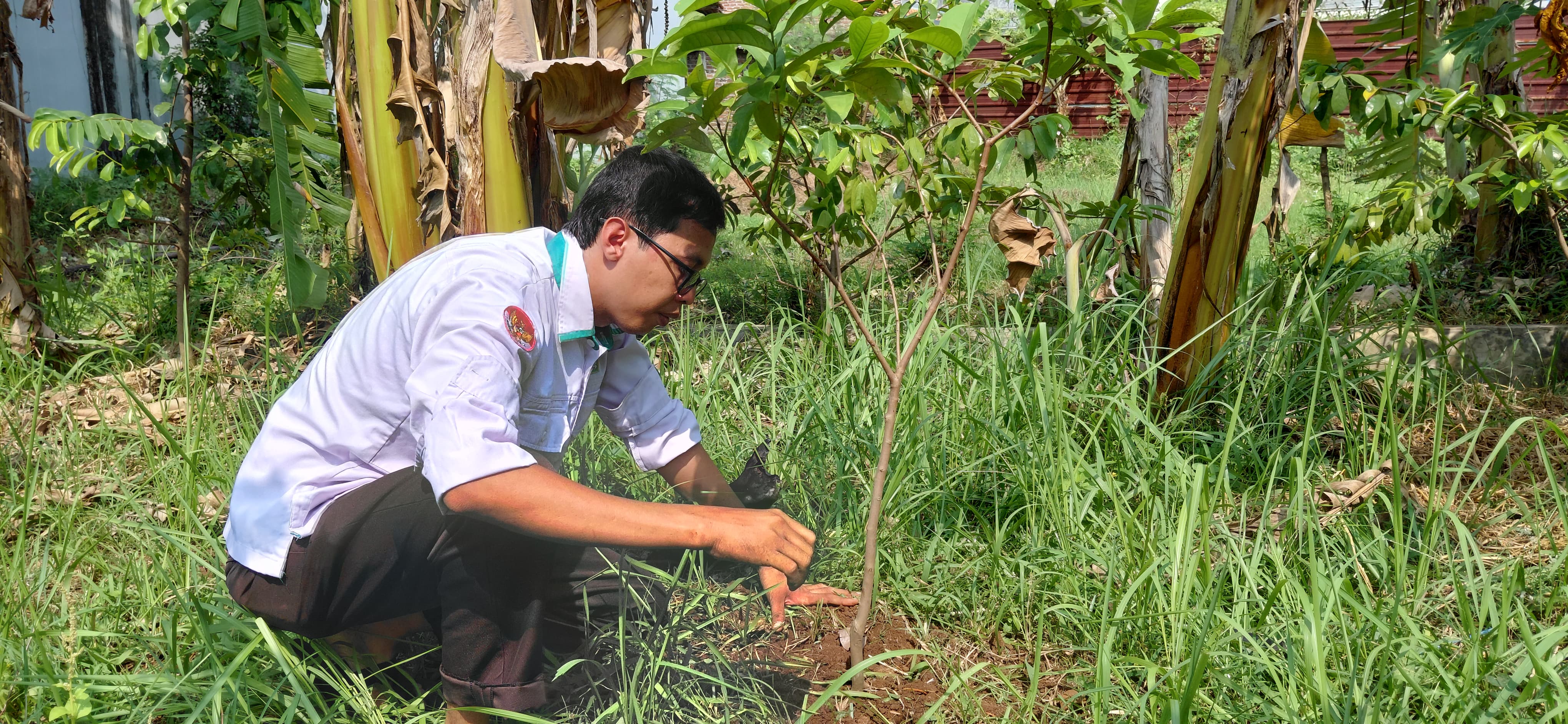 Dukung Program Ekoteologi, CPNS MAN 2 Kota Cirebon Lakukan Penghijauan